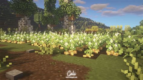 7 Best Aesthetic Minecraft Texture Packs To Give Your World A Fresh