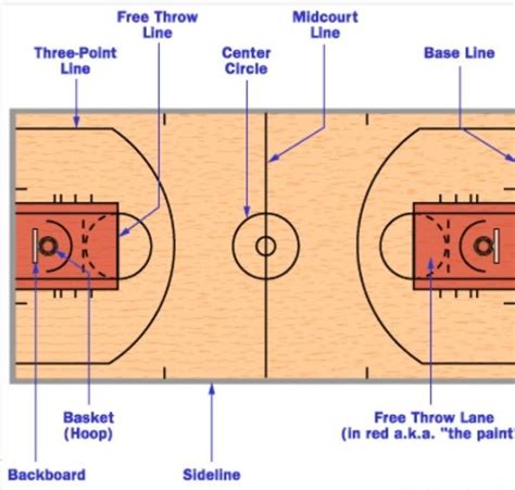 Identify The Parts Of The Basketball Court Below Brainlyph