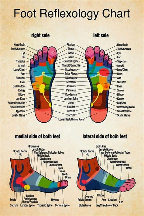 Foot Reflexology Acupressure Chart Sexiz Pix