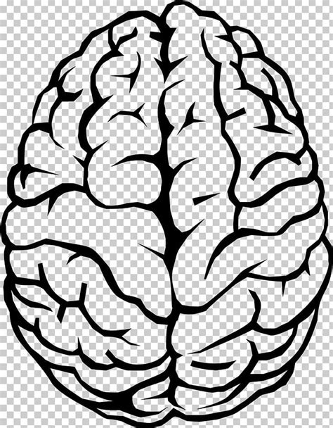 Excellent Abstract Line Drawing Human Brain Pattern Puzzle Abstract