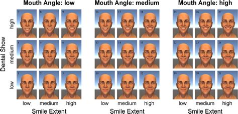 18 Different Types Of Smiles For Example When Your Boss Tells You