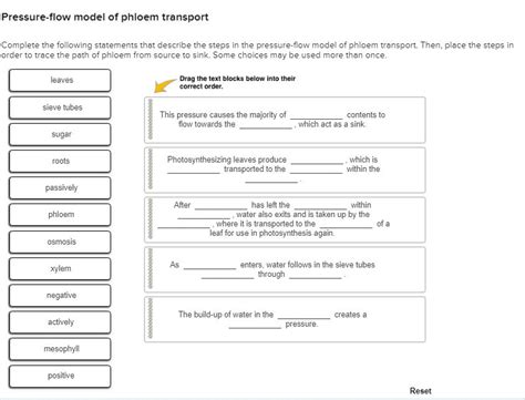 Solved Pressure Flow Model Of Phloem Transport Complete The