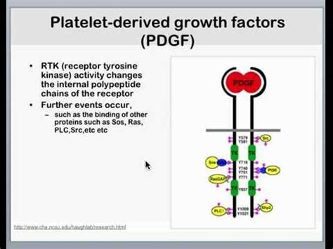 We should learn the right way of. Week 03 Pathway schemes and PDGF example - YouTube