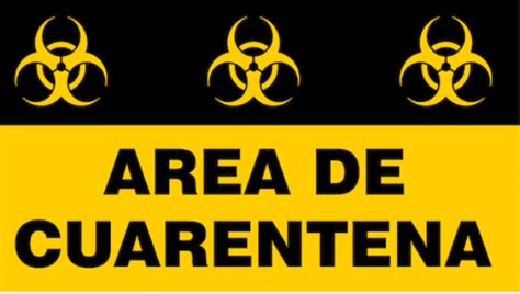 24 фразы в 5 тематиках. ¿Volvés a Argentina desde una zona de riesgo? Cómo se debe ...