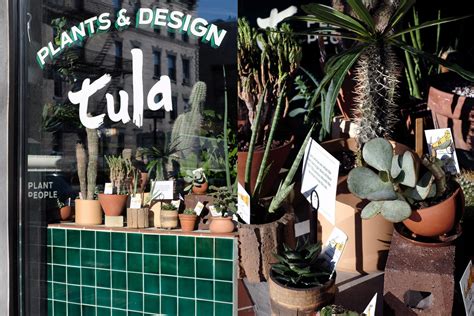 Tula Plants And Design — Ivanwork