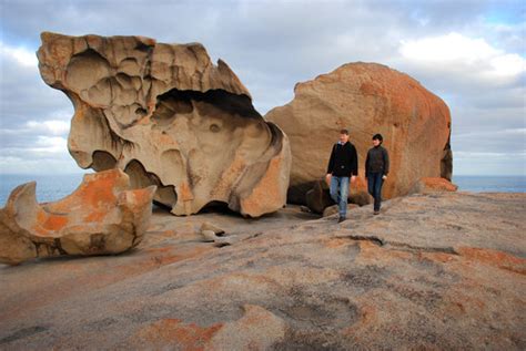 Flinders Chase National Park Kangaroo Island Australia Hours