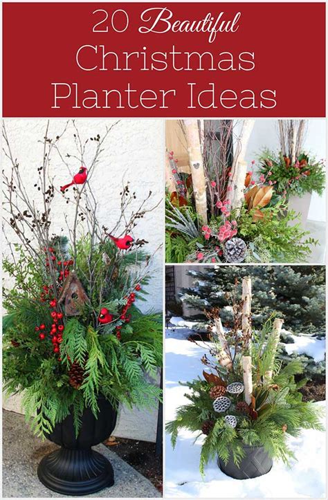 20 Beautiful Winter Planter Ideas House Of Hawthornes