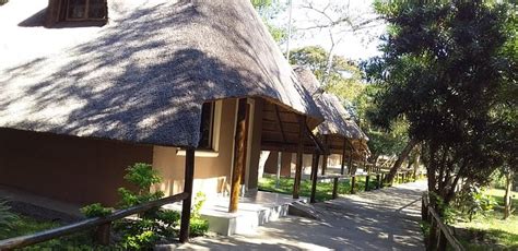 Galaxy Forest Lodge Updated 2023 Reviews Manguzi South Africa