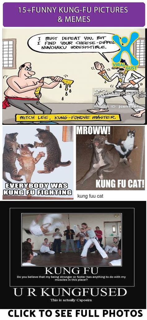 Funniest Memes And Kung Fu Funny Memes Memes Kung Fu