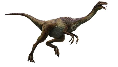 Jurassic World Velociraptor V3 By Sonichedgehog2 On D