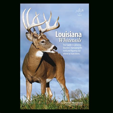 Louisiana Deer Rut Calendar Calendar Template Printable
