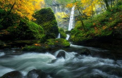 Wallpaper Autumn Forest River Stream Stones Waterfall Moss