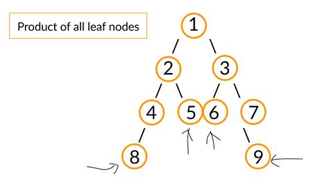 Find The Product Of All Leaf Nodes Of A Binary Tree Faceprep