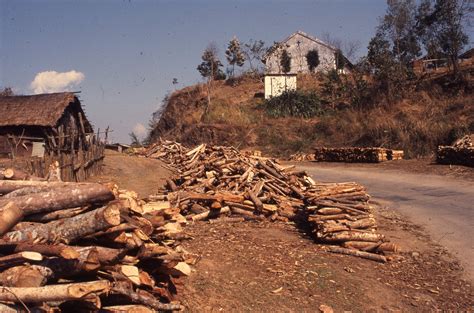 Deforestation India