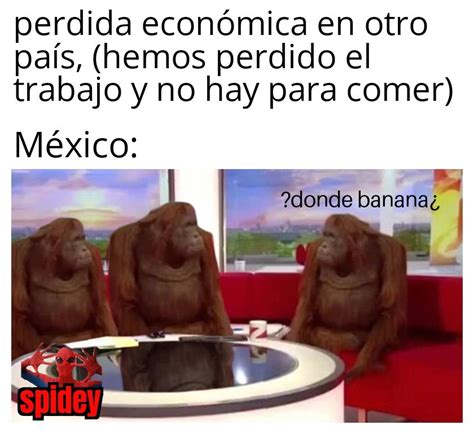 Top Memes De Changos En Español Memedroid