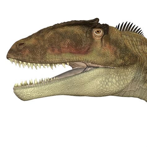 Carcharodontosaurus Was A Carnivorous Theropod Dinosaur That Lived In