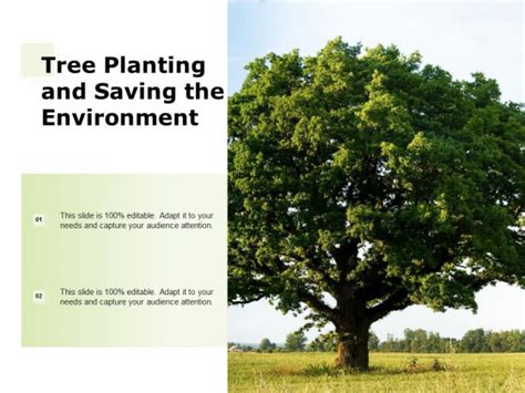 Tree Planting And Saving The Environment Ppt Powerpoint Presentation