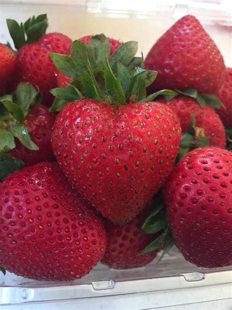 The Perfect Heart Shape Of This Strawberry Rmildlyinteresting