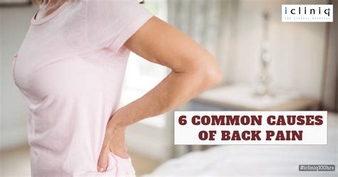 Common Causes Of Back Pain Health Tips ICliniq