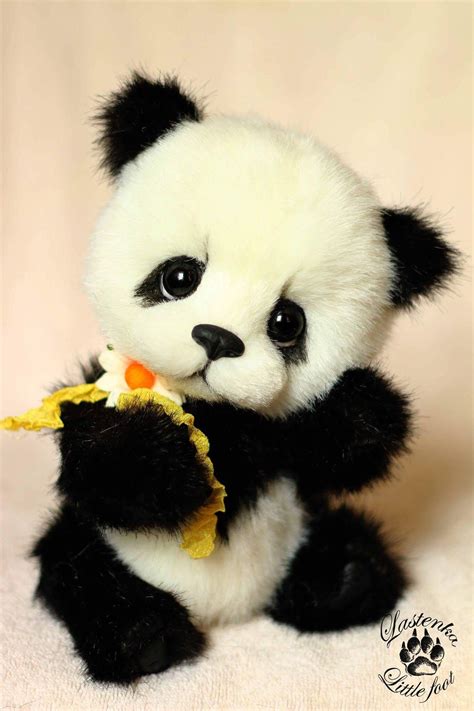 Babypandabears With Images Cute Panda Wallpaper Cute