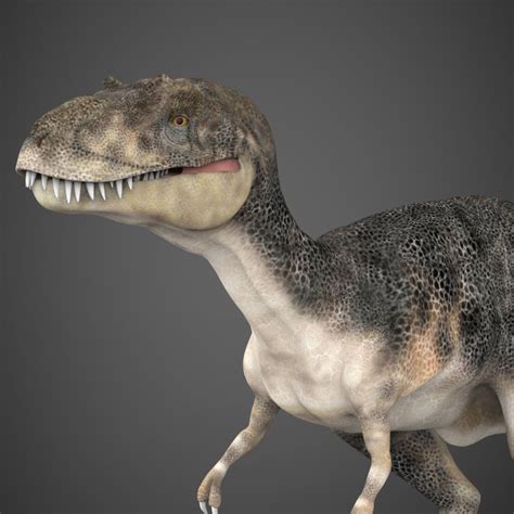 Realistic Dinosaur Tyrannosaurus 3d Model