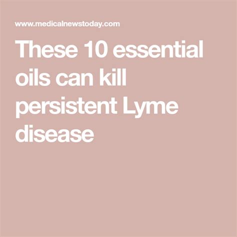 These 10 Essential Oils Can Kill Persistent Lyme Disease Lyme Disease