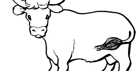 Kambing gambar hewan untuk anak tk. 23+ Gambar Sketsa Hewan Sapi, Paling Dicari!