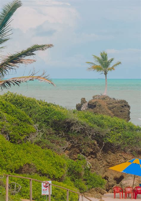 Como A Praia Naturista De Tambaba Em Jo O Pessoa Na Para Ba