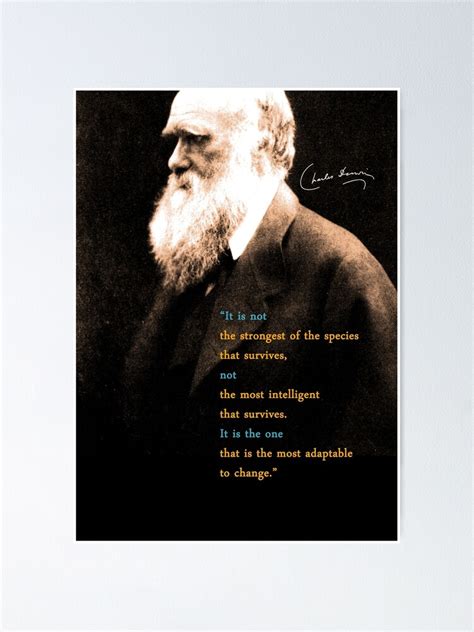 Charles Darwin Quote 3 Poster For Sale By Pahleeloola Redbubble