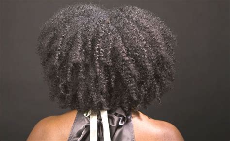Beginners Guide To Hair Porosity And Width