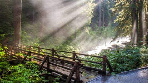 Here Is The Best Camping In Olympic National Park