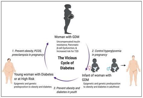 Ijms Free Full Text Gestational Diabetes Mellitus A Harbinger Of