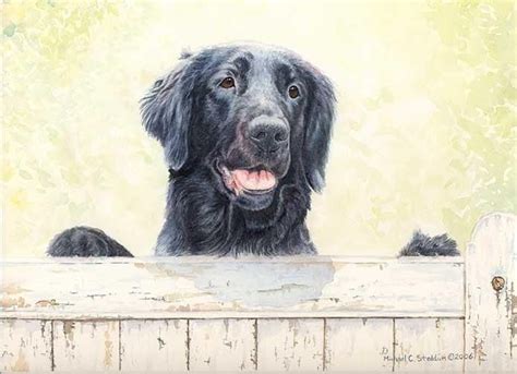 First Impressions A Limited Edition Flat Coated Retriever Print With