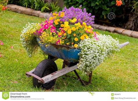 Wheelbarrow Flowers Stock Photos Image 2824873