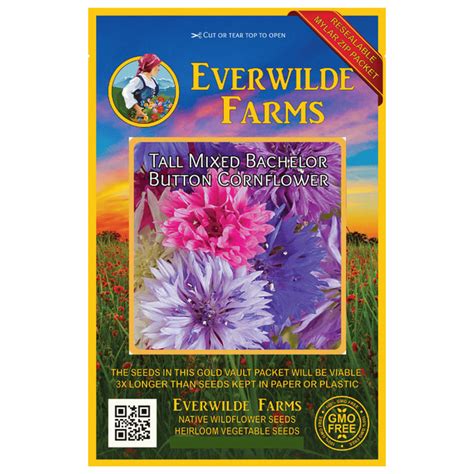 Everwilde Farms 500 Tall Mixed Bachelor Button Cornflower Garden