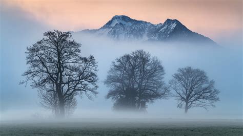 How To Create Ethereal Photos On Misty Mornings 500px