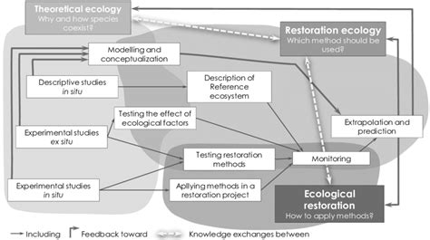 3 Interrelations Between Theoretical Ecology Restoration Ecology And