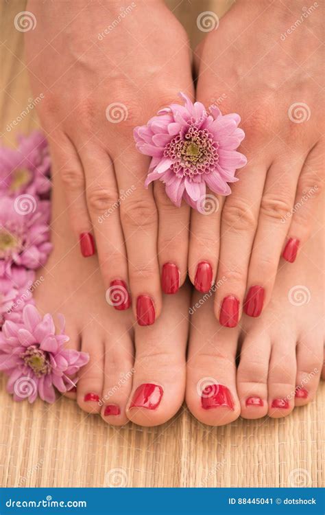 Female Feet And Hands At Spa Salon Stock Image Image Of Cosmetic