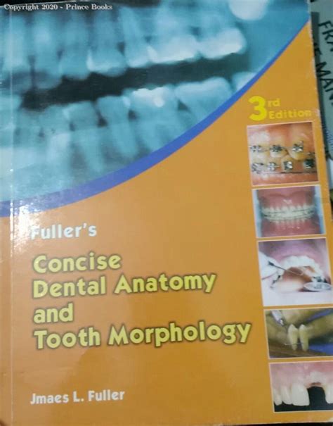 36714495 Concise Dental Anatomy And Tooth Morphology 3e