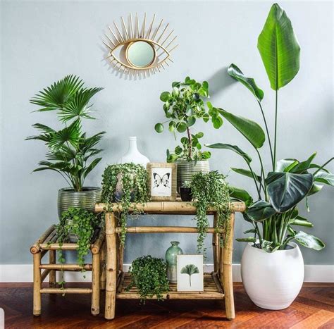 Indoor Plant Decor Green Library Living Room City Living Room Living