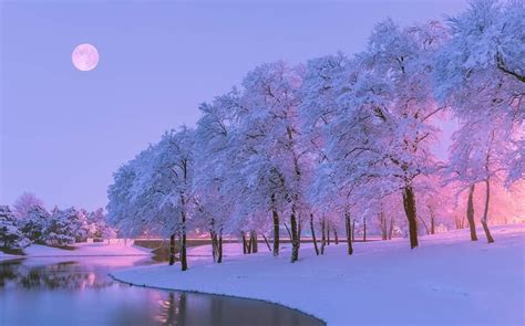 𝕮𝖆𝖒𝖎𝖑𝖑𝖆 On Twitter Christmas Landscape Winter Landscape Scenery Photos