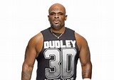 D-Von Dudley: Profile, Career Stats, Face/Heel Turns, Titles Won ...