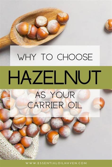 Hazelnut Carrier Oil Benefits How To Use It With Essential Oils