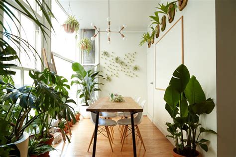 Lush Plant Filled Dwellings That Pay Homage To Home Horticulture Dwell