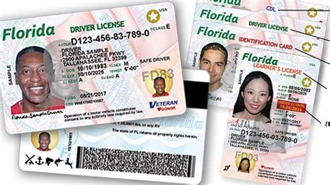 Flhsmv Drivers License Check Loadlasopa