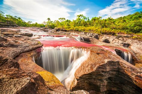 Caño Cristales River Trip 3 Days Colombia
