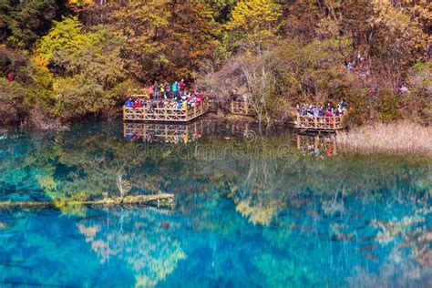 Five Flower Lake Is Lake In Jiuzhaigou Editorial Photo Image Of