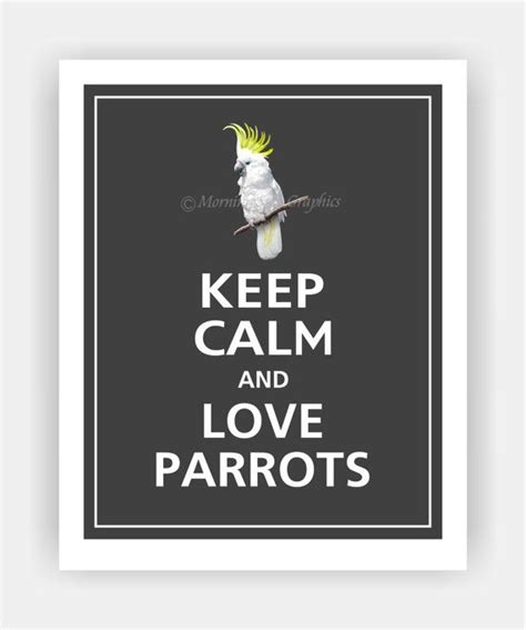 Keep Calm And Love Parrots Print 8x10 Color Featured By Posterpop Keep