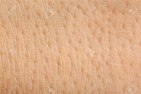 Skin Texture Background Textured Background Skin Textures Texture