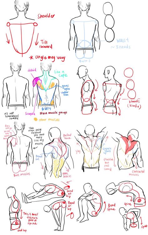 Back Tutorial Drawing viria tumblr Tutorial de anatomía Dibujo